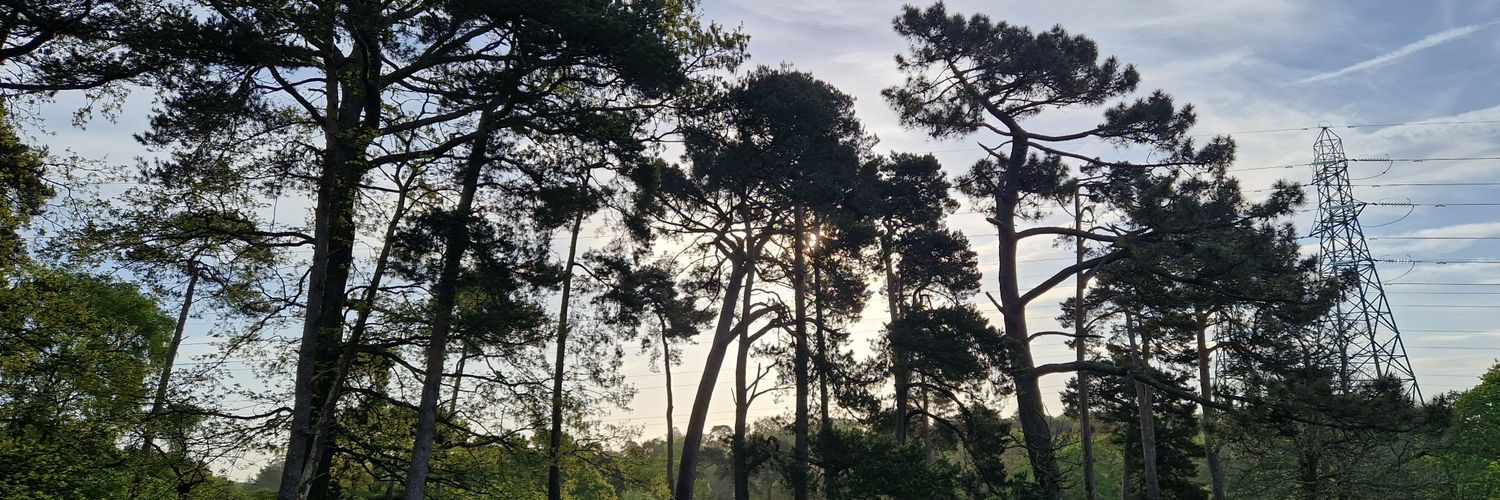 Karl328se's profile banner image