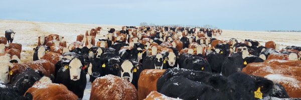 ColemanNixdorff Profile Banner