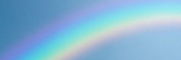 🌻 mitchy𝚝𝚑𝚎𝚠𝚊𝚛𝚛𝚒𝚘𝚛 🌻 banner