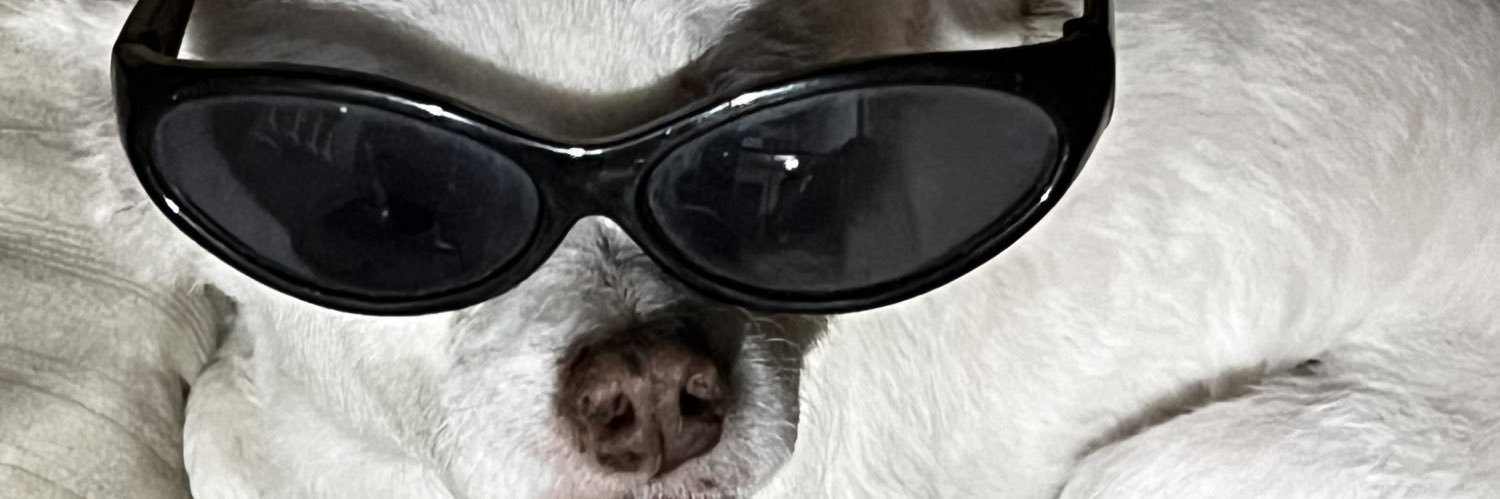 _beelgz's profile banner image