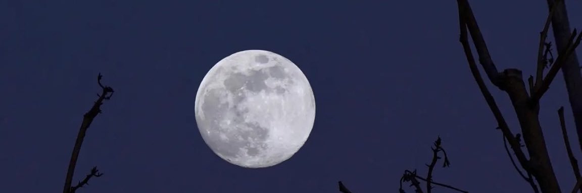 Sharf222's profile banner image