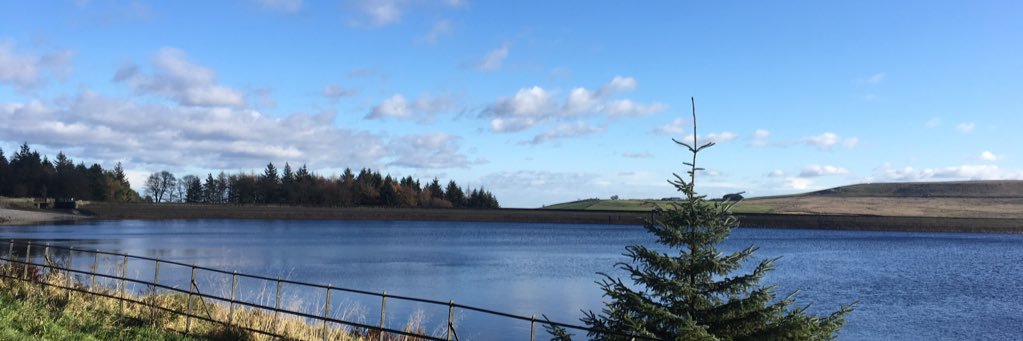 MaeveBlack's profile banner image