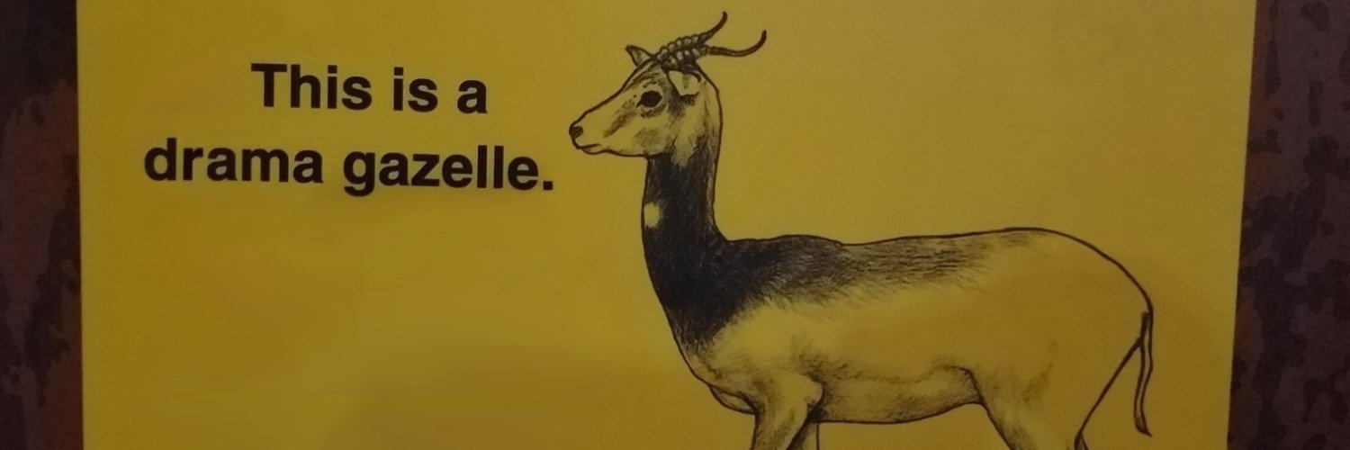 bay-bull-write banner