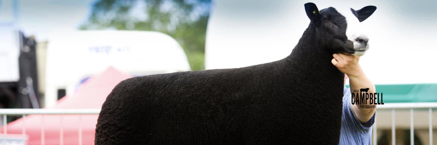 BStayt's profile banner image