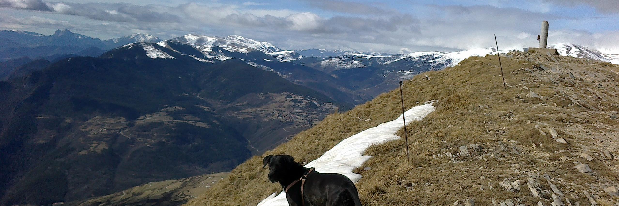 xavigrac's profile banner image