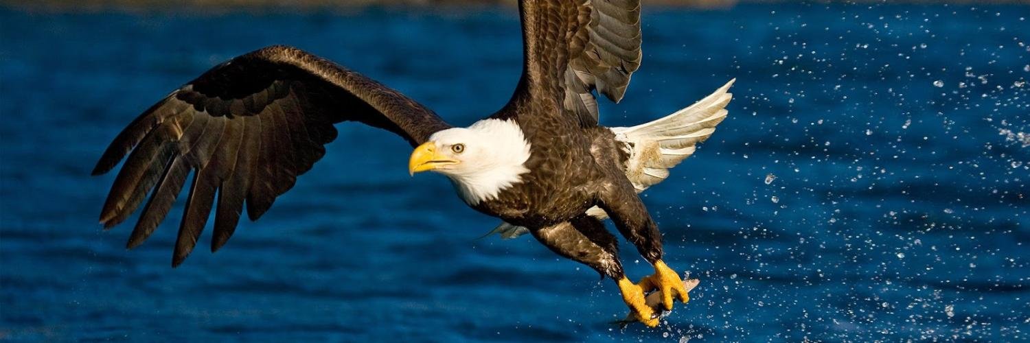 SLW Centennial High banner