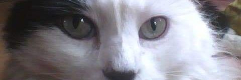 Damario13's profile banner image