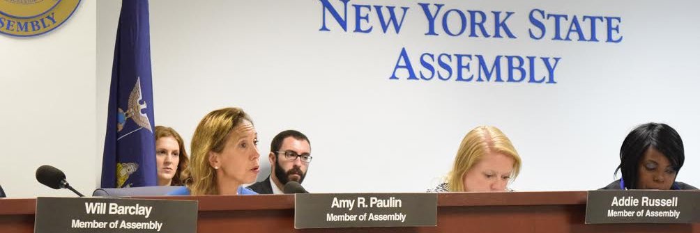 Assemblywoman Amy Paulin's banner