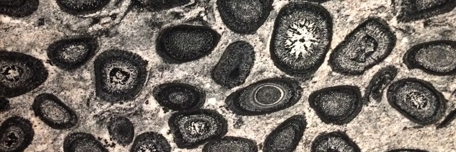 abcdefghealey's profile banner image