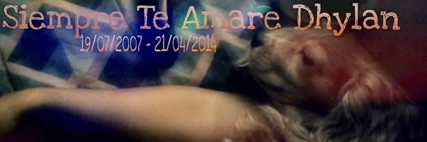 LiinoAlejandro's profile banner image