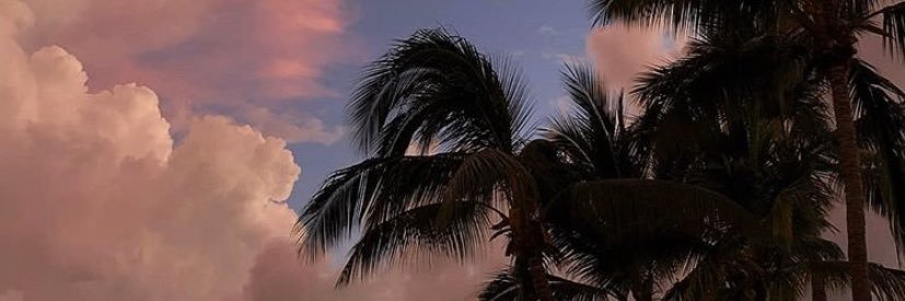 l00pcode.eth banner