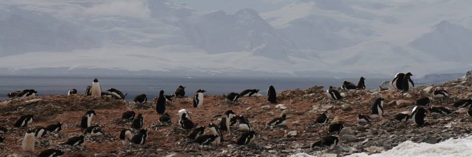 Alex Baumhardt | @alexbaumhardt.bsky.social banner