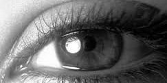 paulitapsico's profile banner image