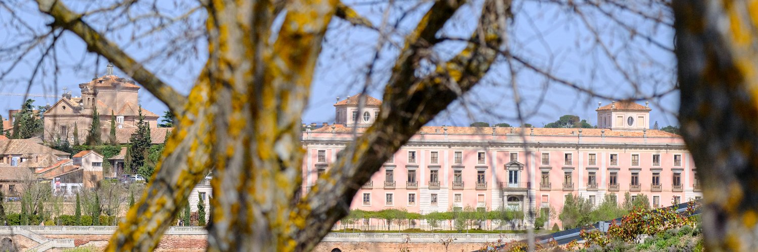 Solo Boadilla banner