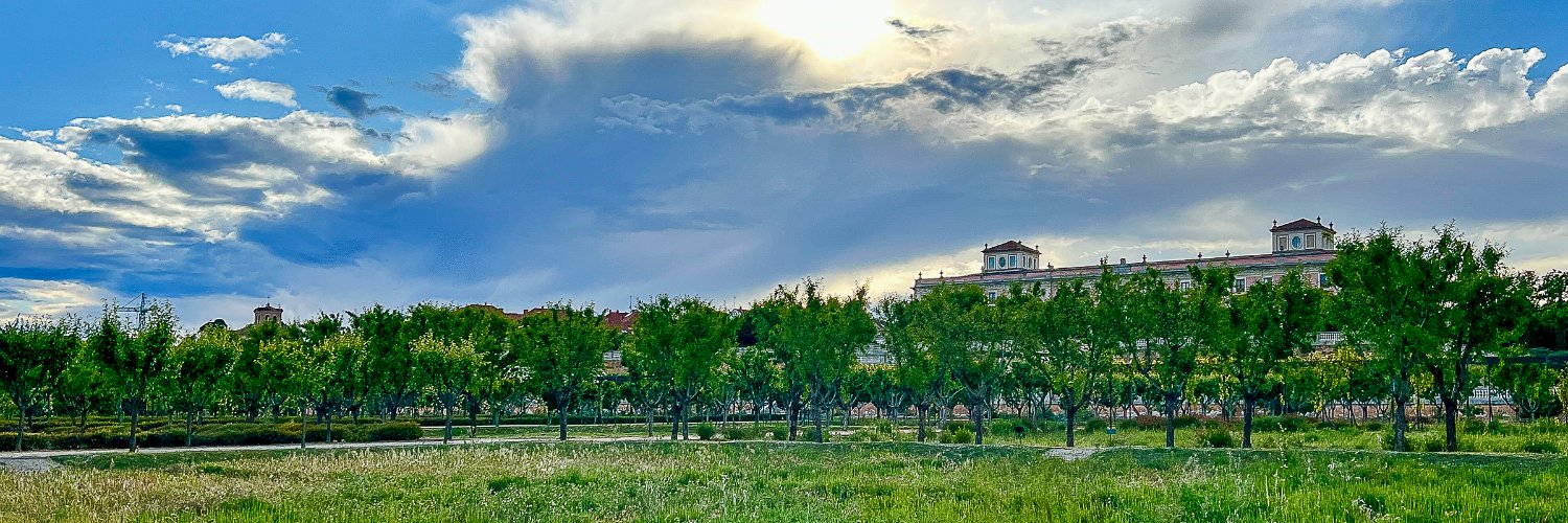 soloboadilla's profile banner image