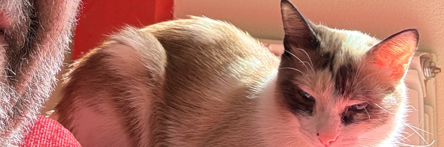 Jepdcsc's profile banner image