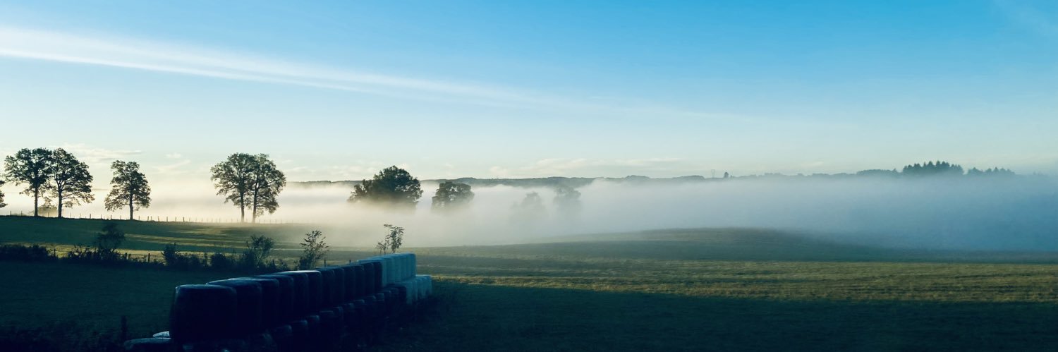 coxy951's profile banner image