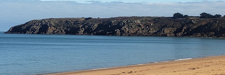 Gilliane Simonin banner