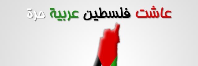 RYADHBENMILED's profile banner image