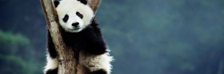 Bcetindere's profile banner image