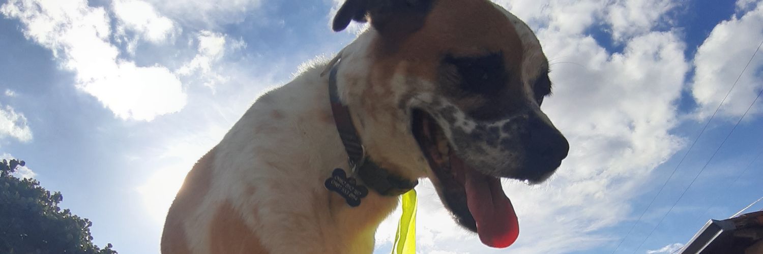 valeloverat's profile banner image