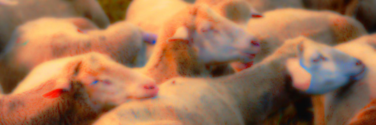 OveyoMaster's profile banner image