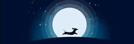 Vellidin's profile banner image