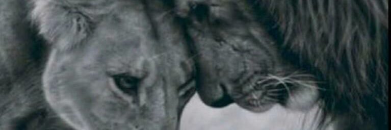 Soobrinho77's profile banner image