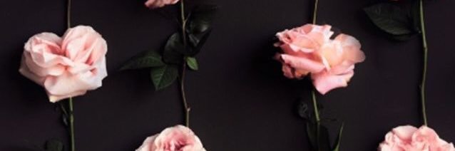 crisantoniaandr's profile banner image