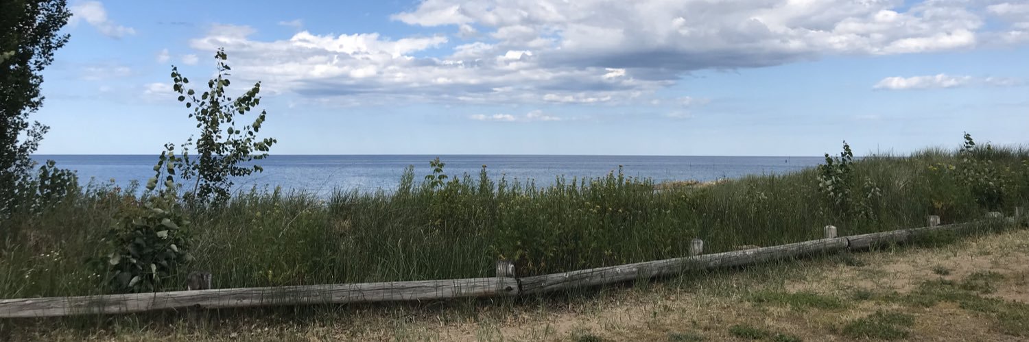 LauraLMagnuson's profile banner image