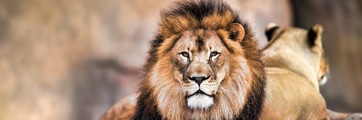 Emeka_reggie 🤴🏾 banner