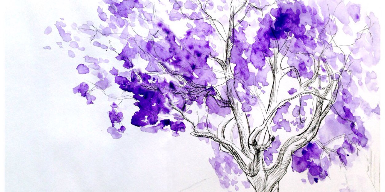 Pao_oVs's profile banner image