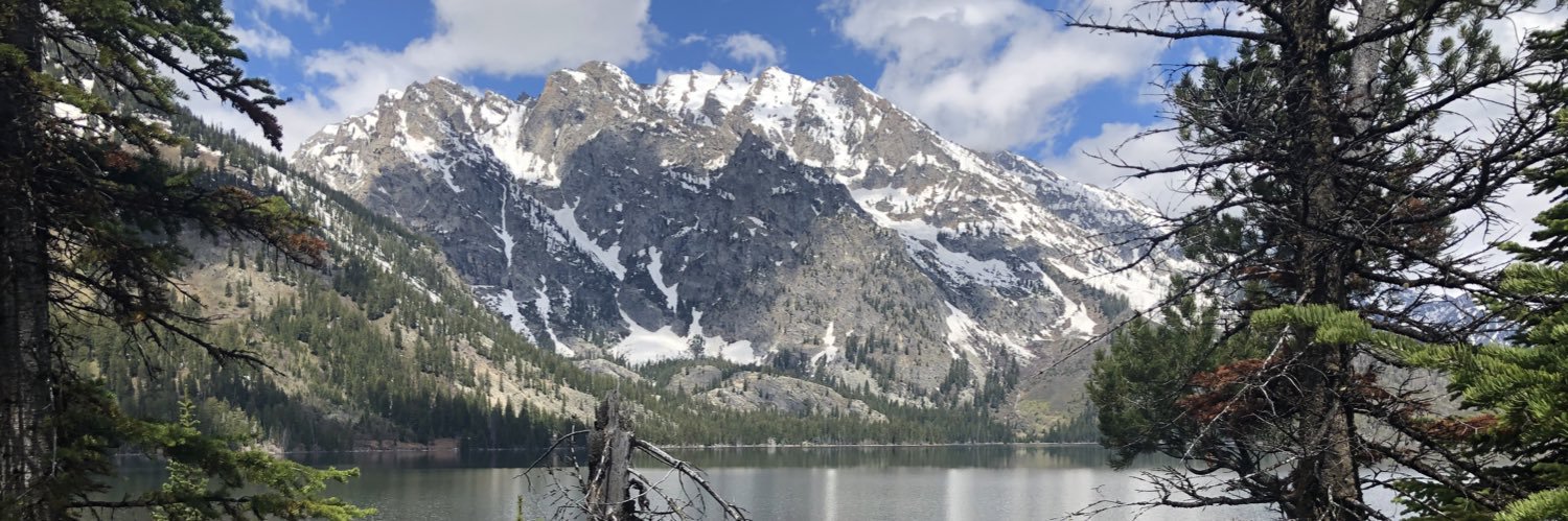 Scratch BBQ and Catering banner