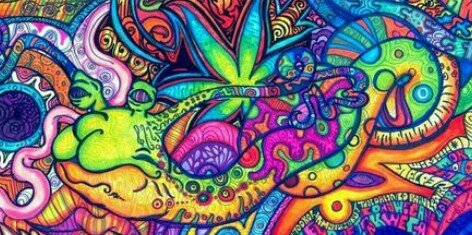 _Kiwi_92's profile banner image