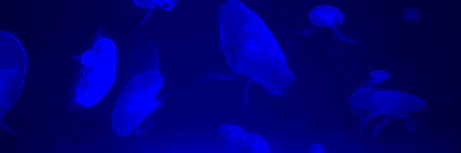 JustIntrigue's profile banner image