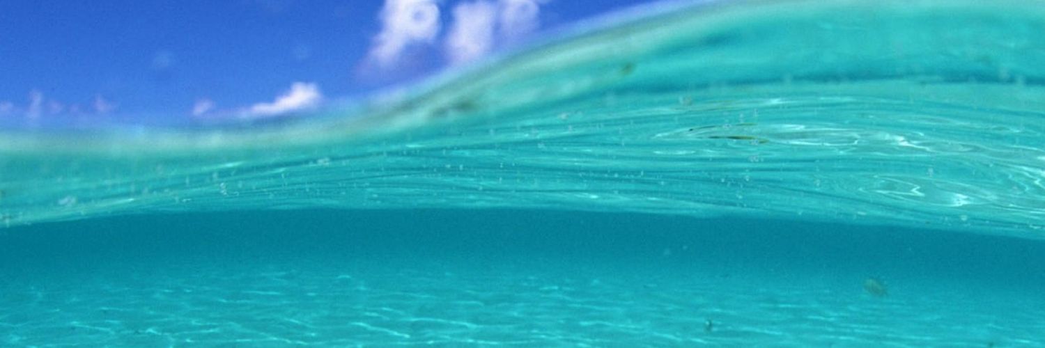 ARDILLA3's profile banner image