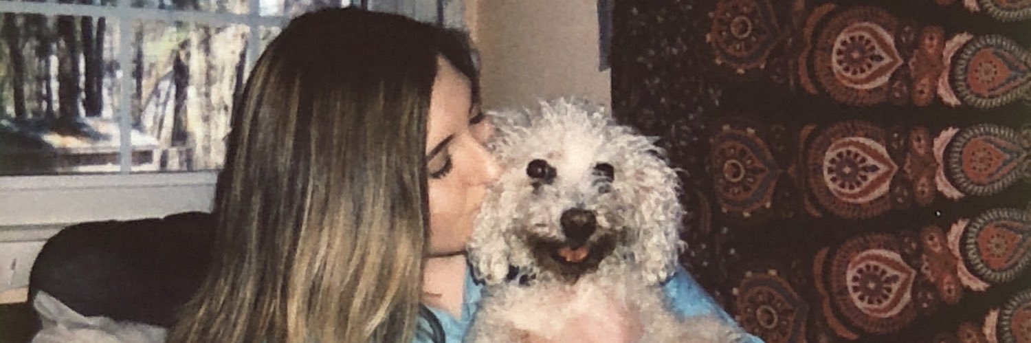 what_the_EL_'s profile banner image