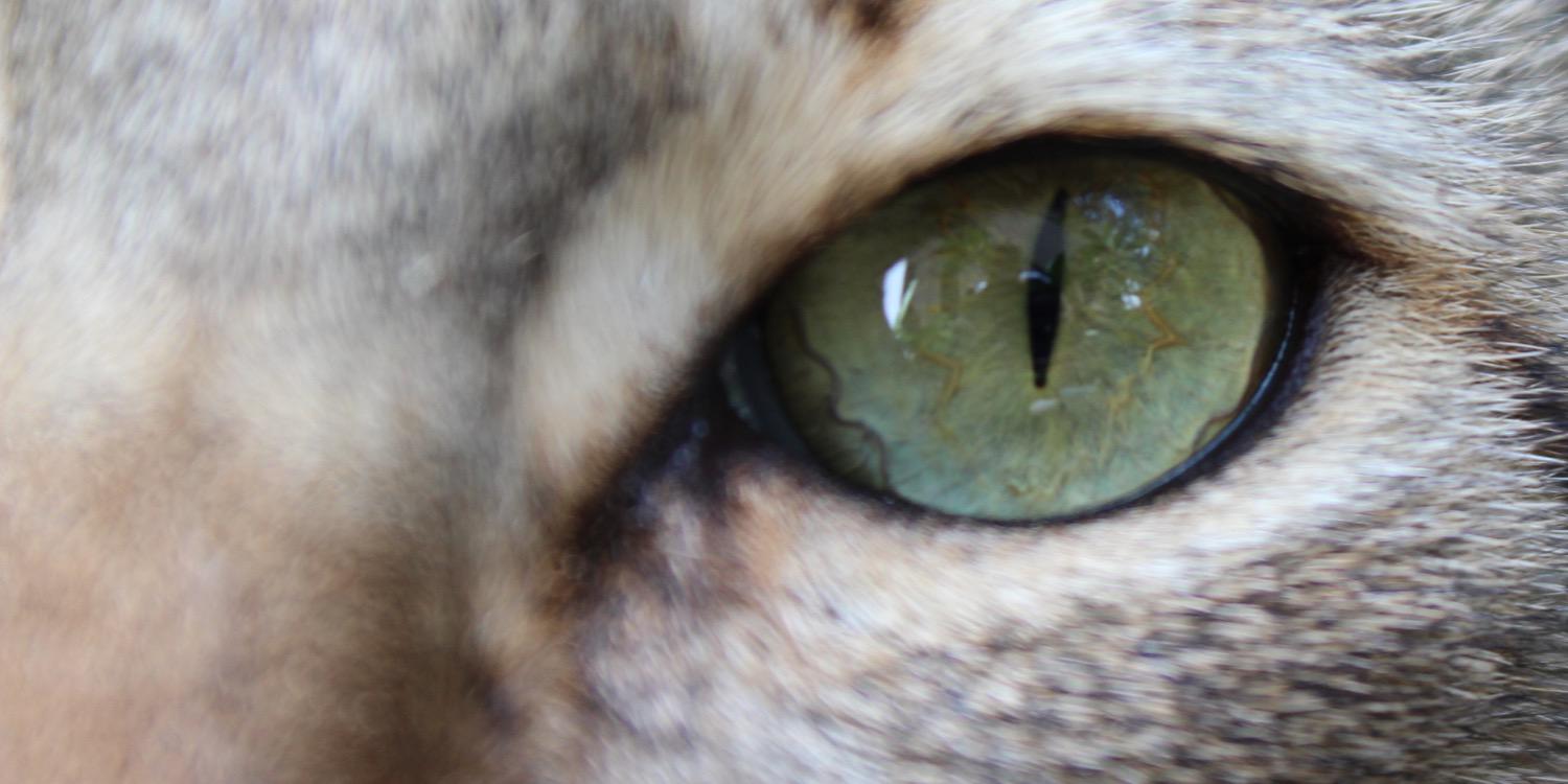 vailjuju's profile banner image