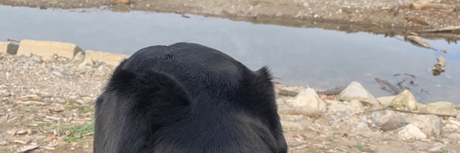 PamRBarker's profile banner image