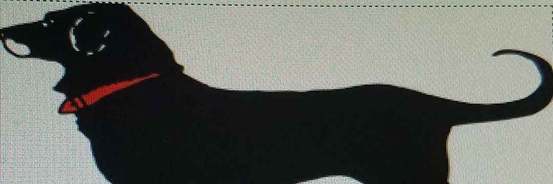 Chassie banner