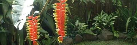 flores0304's profile banner image