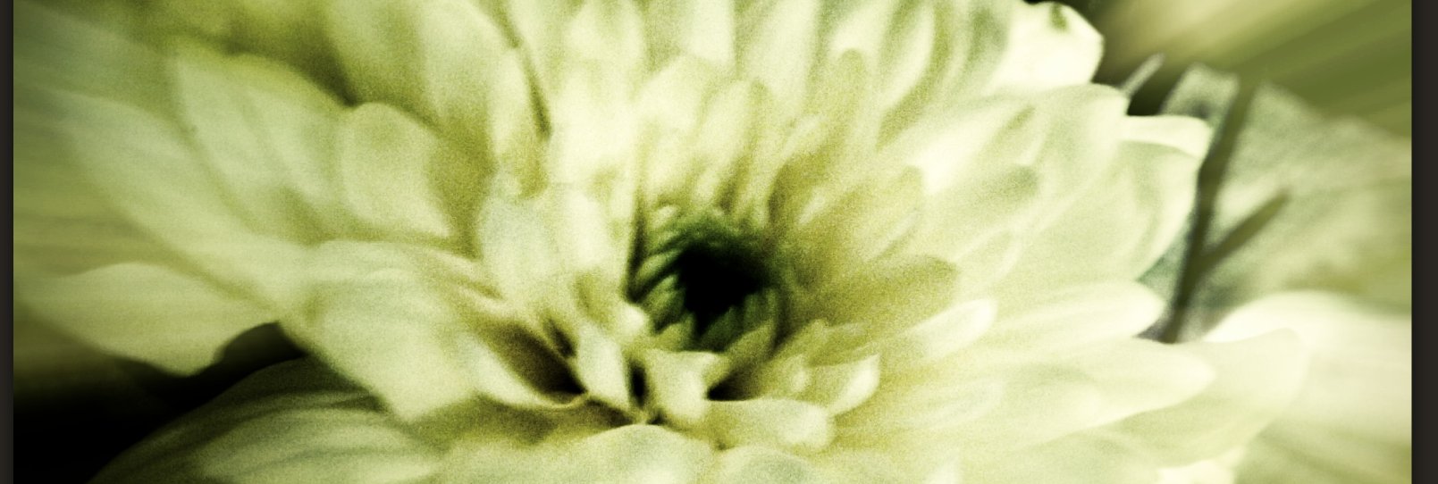 KaremBarratt's profile banner image