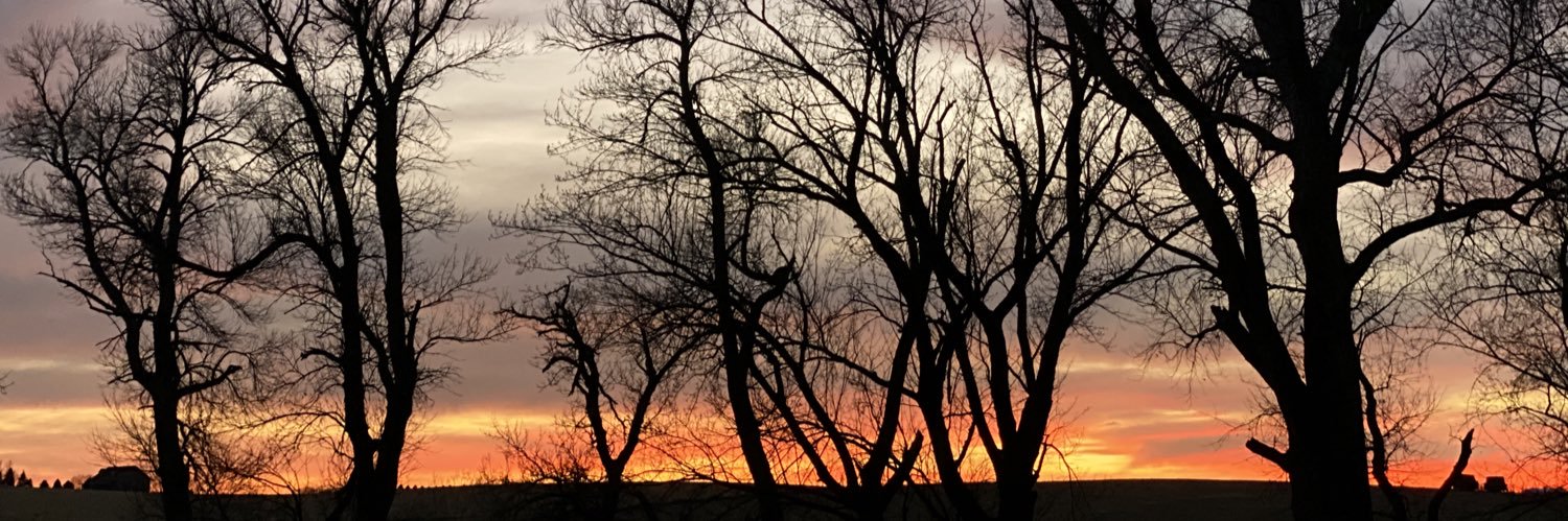 BrendaWSchmidt's profile banner image