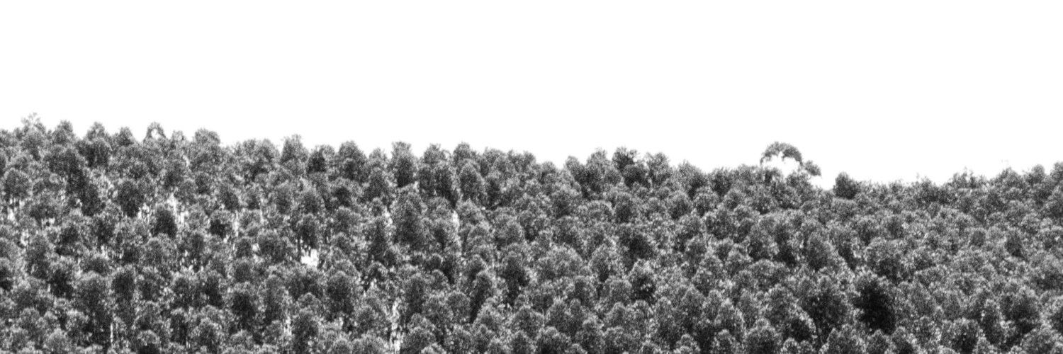 ramund_rot's profile banner image