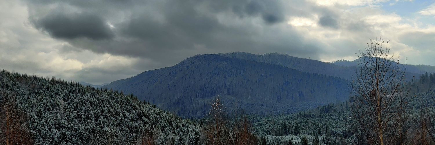 Adam 🇺🇦 banner