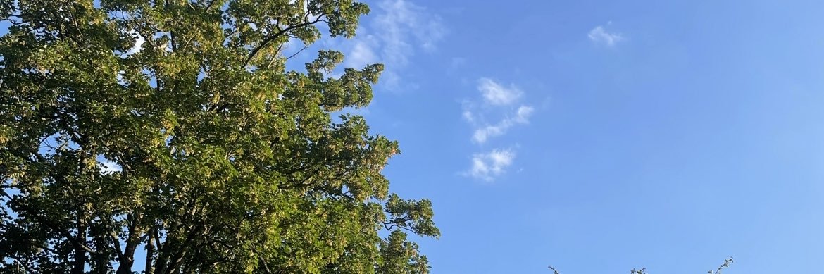 HebeEveHiom's profile banner image