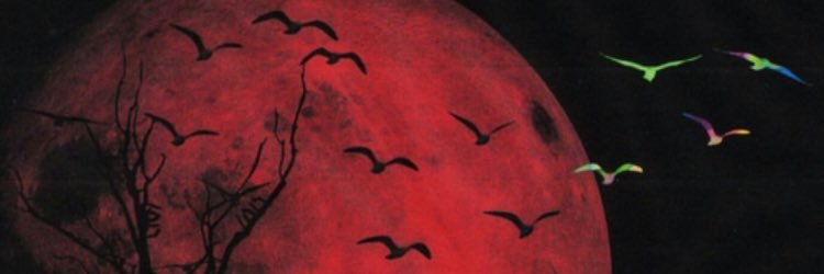 Johnny mobley😋 banner