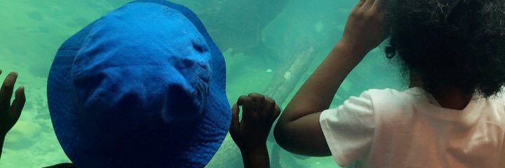RaeRae_Dess's profile banner image