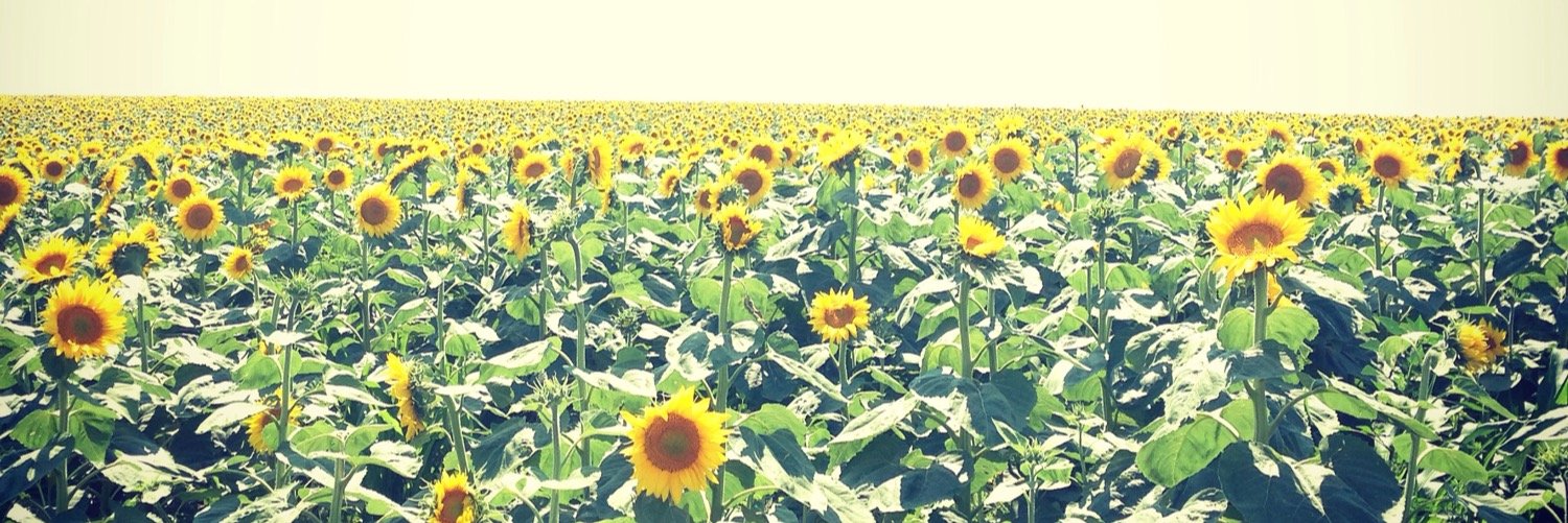 PaigeFrink's profile banner image