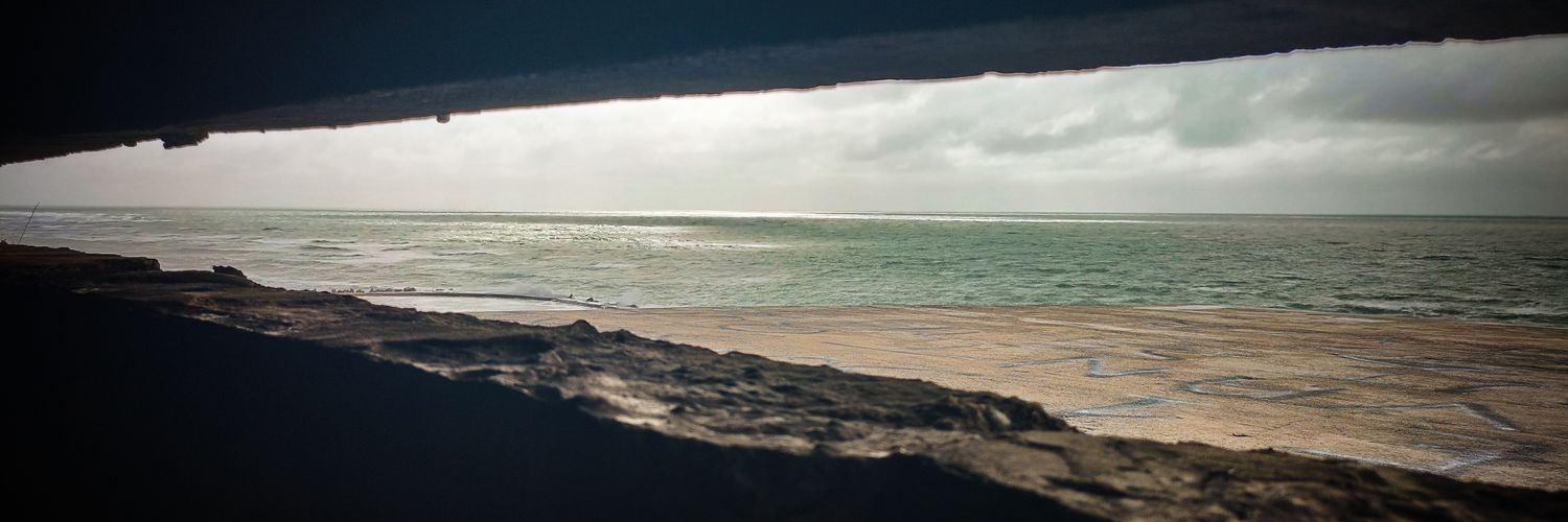 Trokless's profile banner image